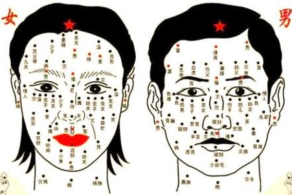 百度大全揭秘：女人痣相与命运的秘密