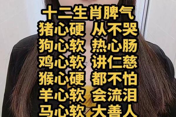 老脾气生肖，揭秘十二生肖中的顽固派