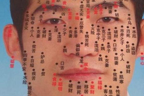 年寿痣男人必看：揭秘痣相背后的命运密码