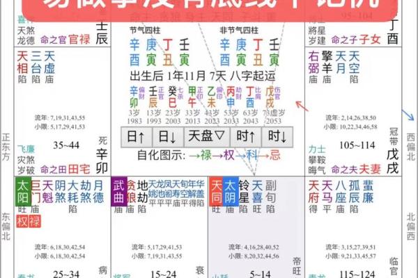 紫薇排盘详批：破解人生运势的关键密码
