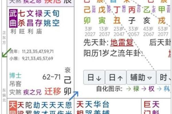 紫薇排盘详批：破解人生运势的关键密码