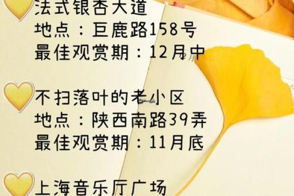 银杏命名大法：让你的公司名闪耀与众不同