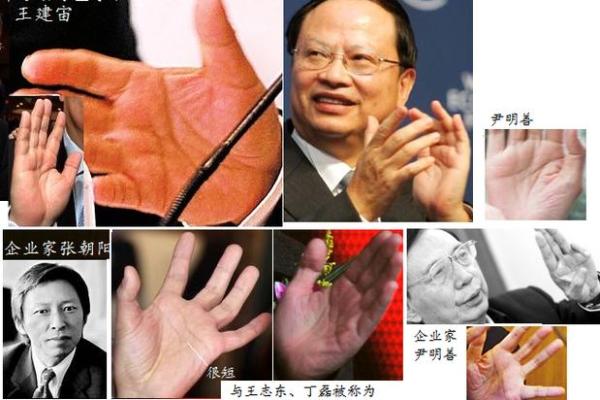 揭秘：太阳丘有米纹，财运亨通的秘密