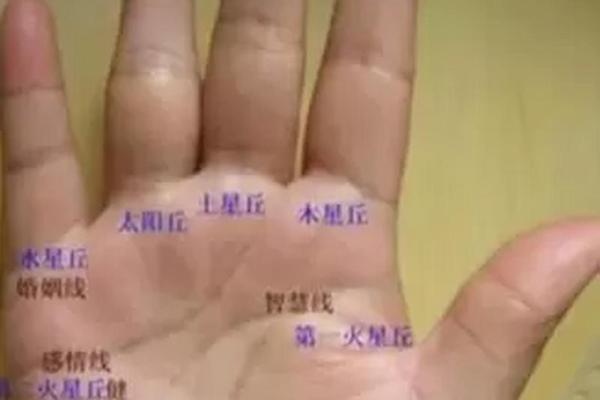 揭秘：太阳丘有米纹，财运亨通的秘密