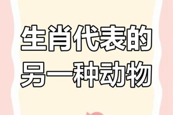 十二生肖图鉴：揭秘生肖背后的神秘力量