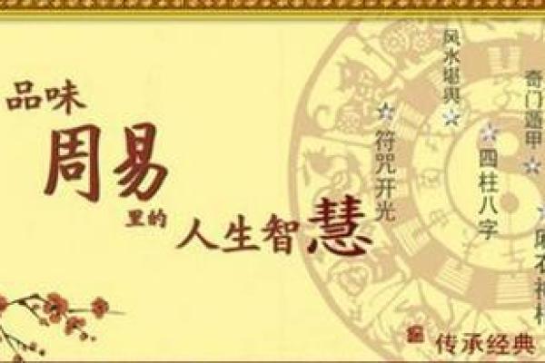 解密陈少霞的八字命理：事业成功的根本原因
