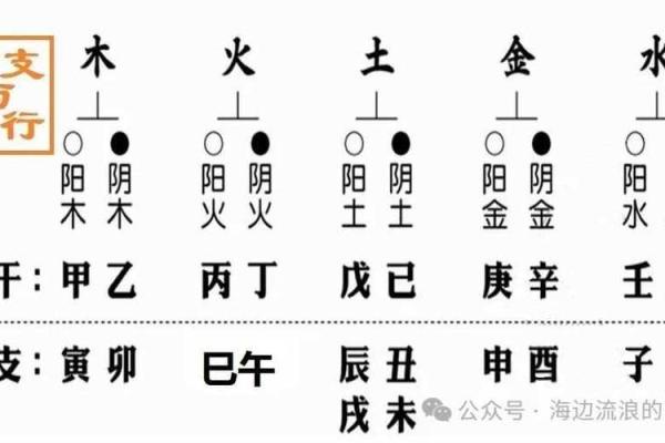 五行究竟属于哪个元素?一文搞懂五行分类 五行究竟属于哪个元素?一文搞懂五行分类
