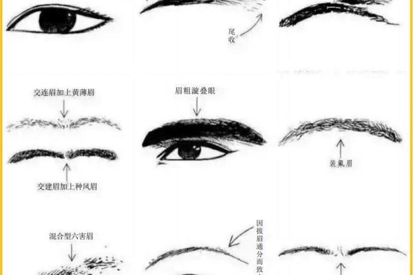 识人于微：揭秘面相背后的惊人秘密