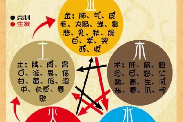 力五行:从命理到事业,全面掌控运势的秘密 力五行:从命理到事业,全面掌控运势的秘密