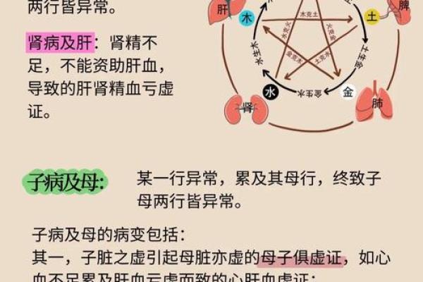 力五行:从命理到事业,全面掌控运势的秘密 力五行:从命理到事业,全面掌控运势的秘密