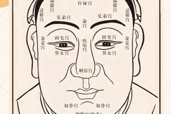 面相夫人志：揭秘面部特征与命运之间的神秘联系