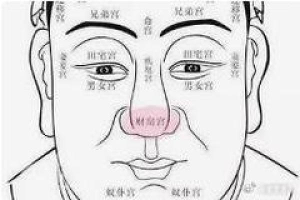 面相揭秘：眼神藏财气，识破富贵命