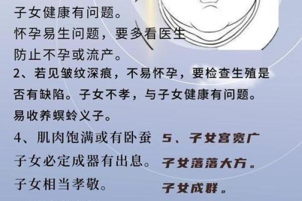 十二宫面相揭秘：揭秘命运的秘密，让你的面相助你一臂之力