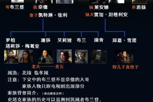 探秘盘氏家族排法,如何理清复杂的家族关系 探秘盘氏家族排法,如何理清复杂的家族关系