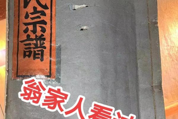 探秘盘氏家族排法,如何理清复杂的家族关系 探秘盘氏家族排法,如何理清复杂的家族关系