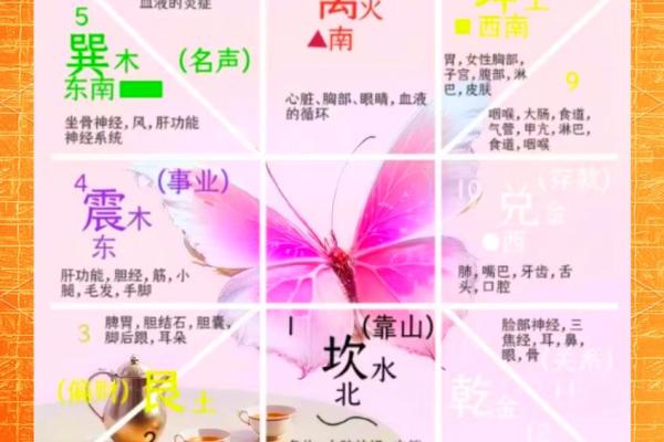 申月八字的深层解读，发现命运的潜力