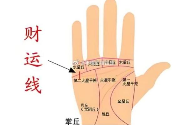 男人朱砂掌手相：财运亨通，运势旺盛的神秘手相揭秘