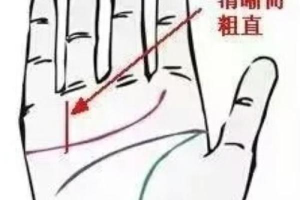 男人朱砂掌手相：财运亨通，运势旺盛的神秘手相揭秘