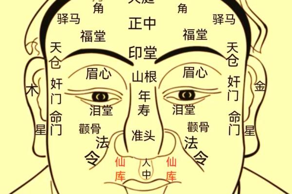 识人高手必备:一学就会的面相绝学秘籍 识人高手必备:一学就会的面相绝学秘籍