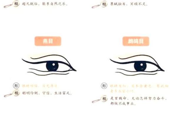 面相揭秘：一眼识破性格秘密，揭秘你的命运密码