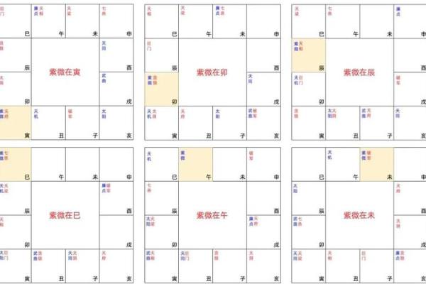 外国出生紫微斗数排盘解析:如何精准预测命运走向 外国出生紫微斗数排盘解析:如何精准预测命运走向
