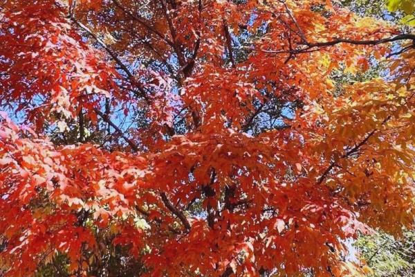 玑彩斑斓 玑彩斑斓