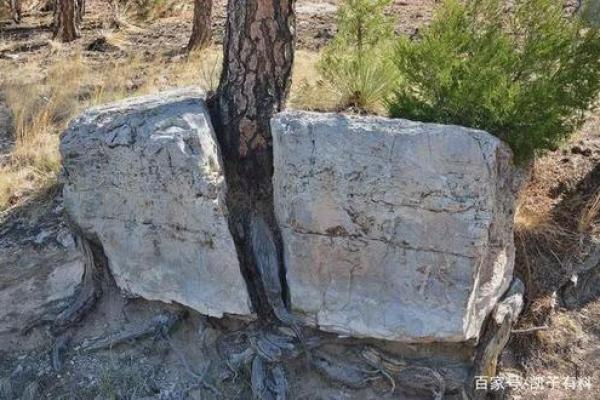 石五行到底属于什么?你可能从未听过的真相 石五行到底属于什么?你可能从未听过的真相