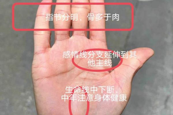 手相揭秘:看手相竟能预知子孙后代?快来一探究竟 手相揭秘:看手相竟能预知子孙后代?快来一探究竟