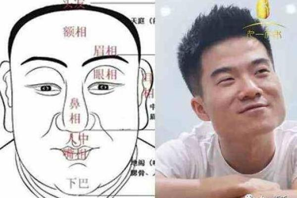 面相揭秘:地库位置决定命运,揭秘你的财运与事业 面相揭秘:地库位置决定命运,揭秘你的财运与事业