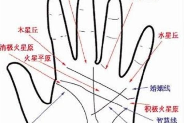 揭秘手相男人事业线终点,财运亨通、事业辉煌的秘密 揭秘手相男人事业线终点,财运亨通、事业辉煌的秘密