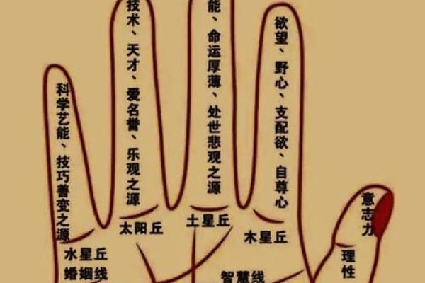 十斗在手，财运亨通，揭秘手相中的富贵密码