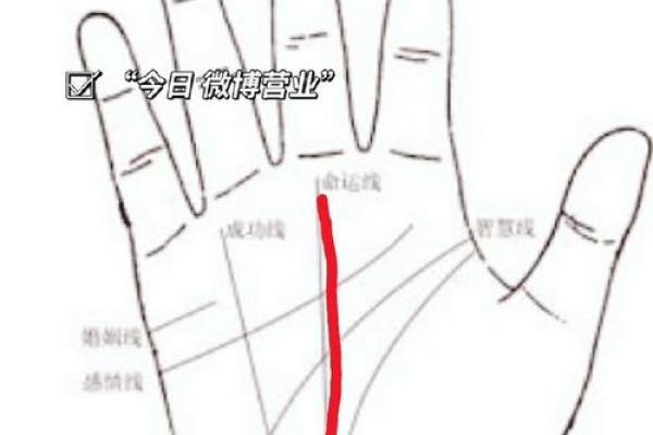 十斗在手，财运亨通，揭秘手相中的富贵密码