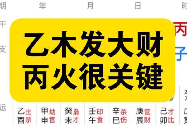 乙木天干的独特魅力，如何发掘潜力助你成功