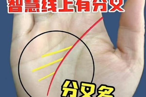 手相揭秘:女人掌中藏老板命,掌握这3点,财运亨通,事业辉煌 手相揭秘:女人掌中藏老板命,掌握这3点,财运亨通,事业辉煌