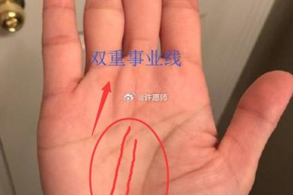 金手相握,揭秘命运之谜 金手相握,揭秘命运之谜