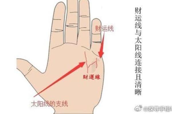 太阳线在手,运势亨通:揭秘手相中的财富密码 太阳线在手,运势亨通:揭秘手相中的财富密码