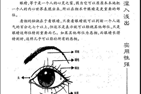 识人于面，面相揭秘：揭秘面相背后的惊人秘密
