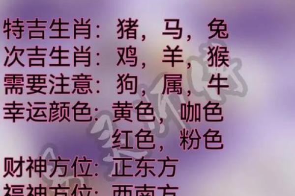 十二生肖，天生注定，揭秘你的运势与命运