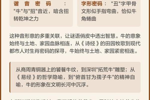 生肖谜语解密：十二生肖诗句中的隐藏密码