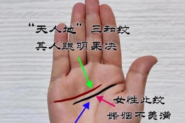 揭秘手相密码:三种独特指纹,揭秘你的命运轨迹 揭秘手相密码:三种独特指纹,揭秘你的命运轨迹