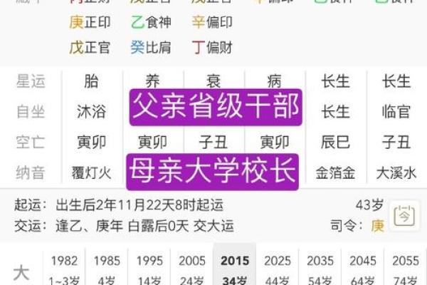 八字排盘地支如何影响你的一生?你不得不知的真相 八字排盘地支如何影响你的一生?你不得不知的真相