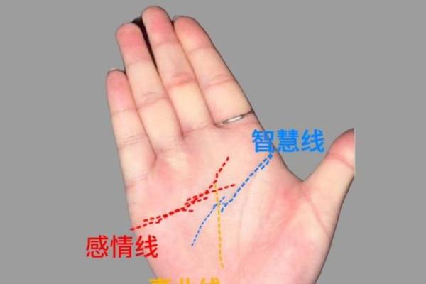 手相中的神秘开运线,揭秘你的财运密码 手相中的神秘开运线,揭秘你的财运密码