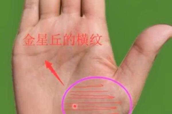 手相中的神秘开运线,揭秘你的财运密码 手相中的神秘开运线,揭秘你的财运密码