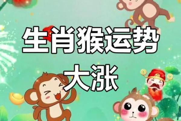 猴子风水秘籍：财运亨通，好运连连的神奇招数