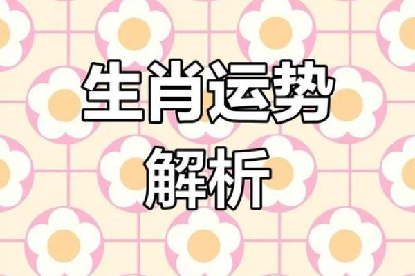 通生肖大揭秘:揭秘你的生肖运势 通生肖大揭秘:揭秘你的生肖运势
