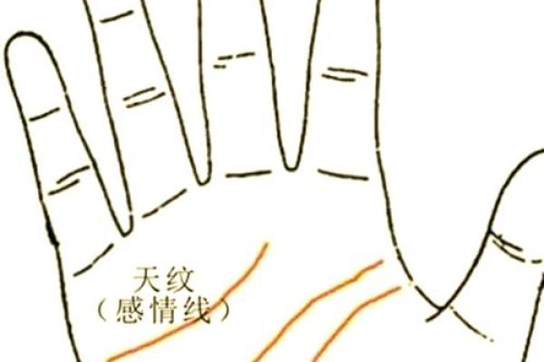 手相会经常变?揭秘手相变化的惊人秘密 手相会经常变?揭秘手相变化的惊人秘密