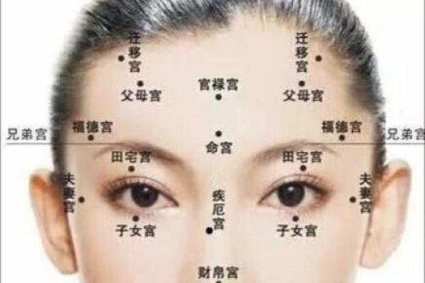 眉骨决定命运:揭秘面相中的眉骨奥秘 眉骨决定命运:揭秘面相中的眉骨奥秘
