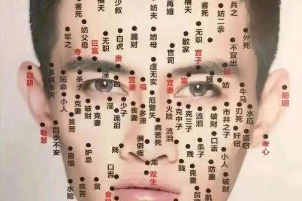 面相宝典,一眼识人,财运亨通,富贵吉祥 面相宝典,一眼识人,财运亨通,富贵吉祥