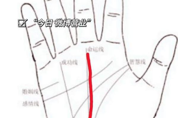 手相圆圈揭秘:揭秘你的运势和属相 手相圆圈揭秘:揭秘你的运势和属相