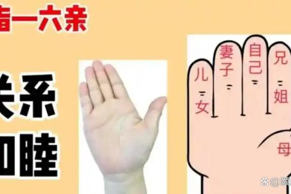 探秘手指尖手相：如何解读隐藏在指尖的未来